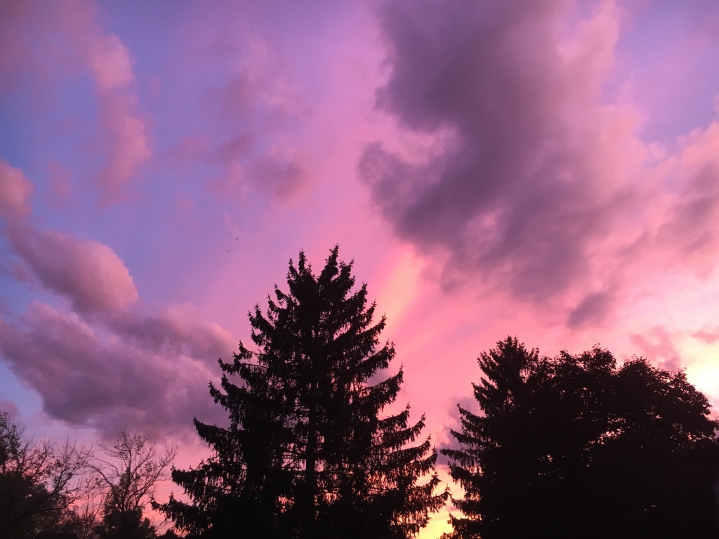 a very pink sunset (no filter)
